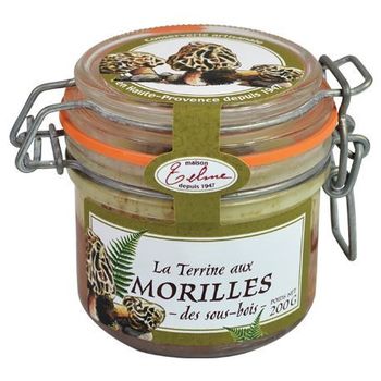 Terrine aux morilles